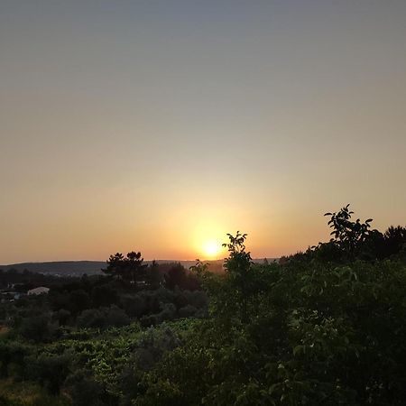 R3 - Guesthouse Travessa Da Arieira Aguda (Leiria) Eksteriør bilde