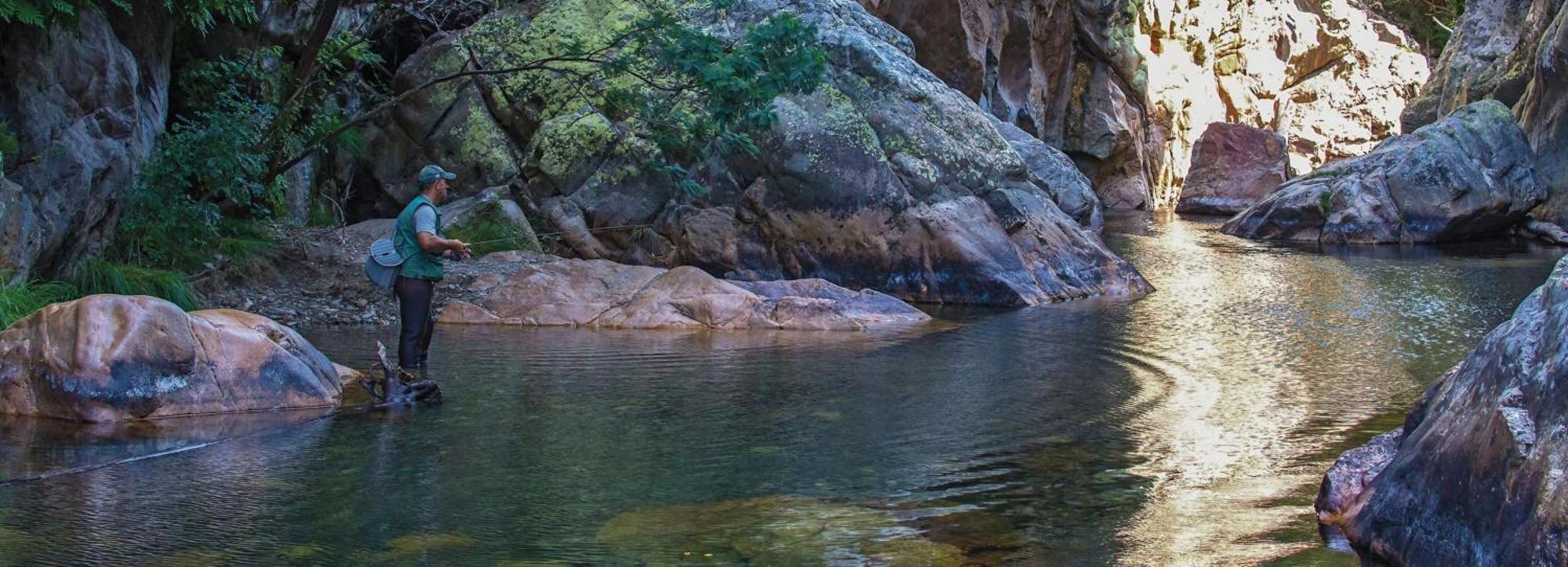 R3 - Guesthouse Travessa Da Arieira Aguda (Leiria) Eksteriør bilde