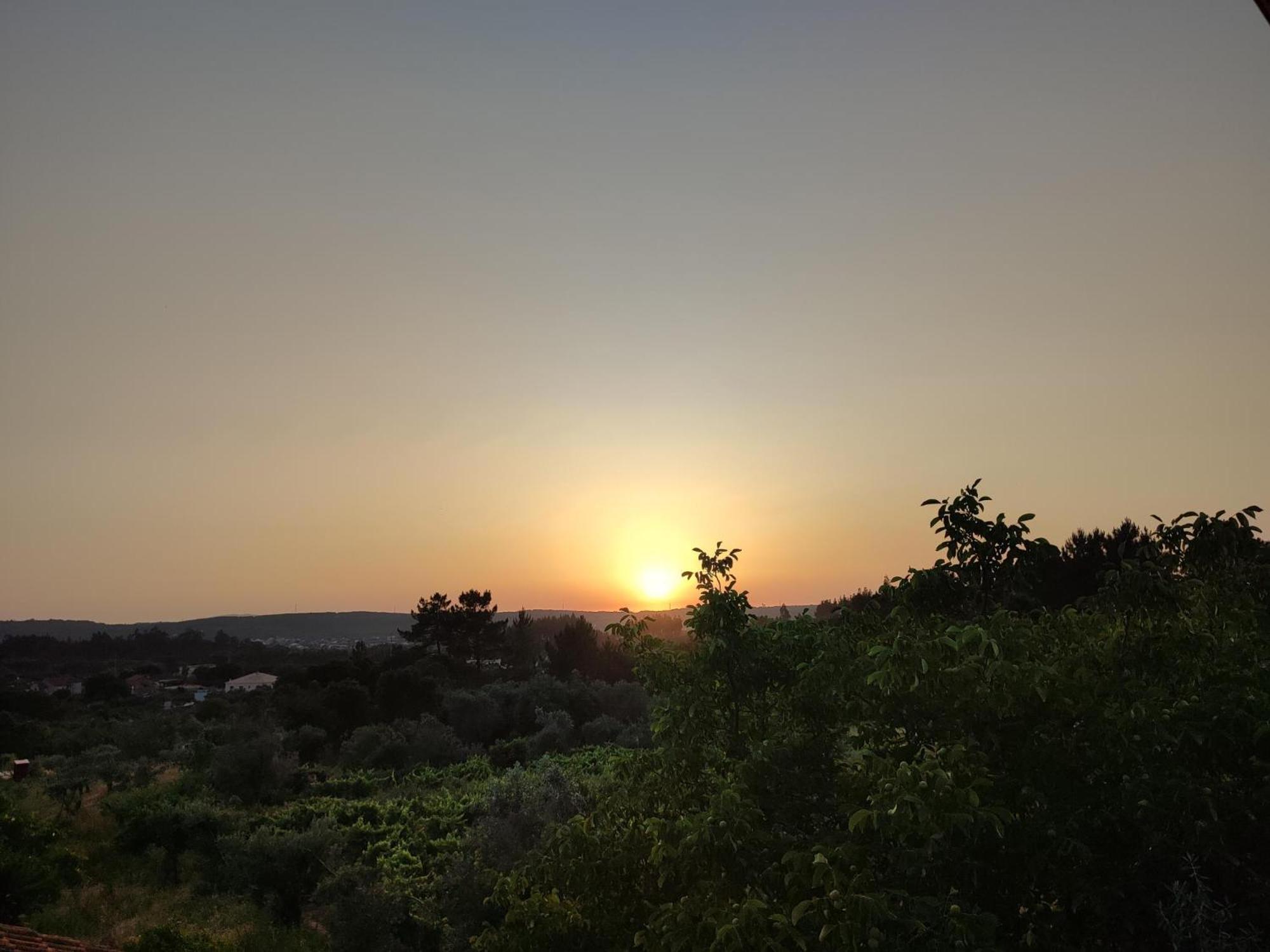 R3 - Guesthouse Travessa Da Arieira Aguda (Leiria) Eksteriør bilde