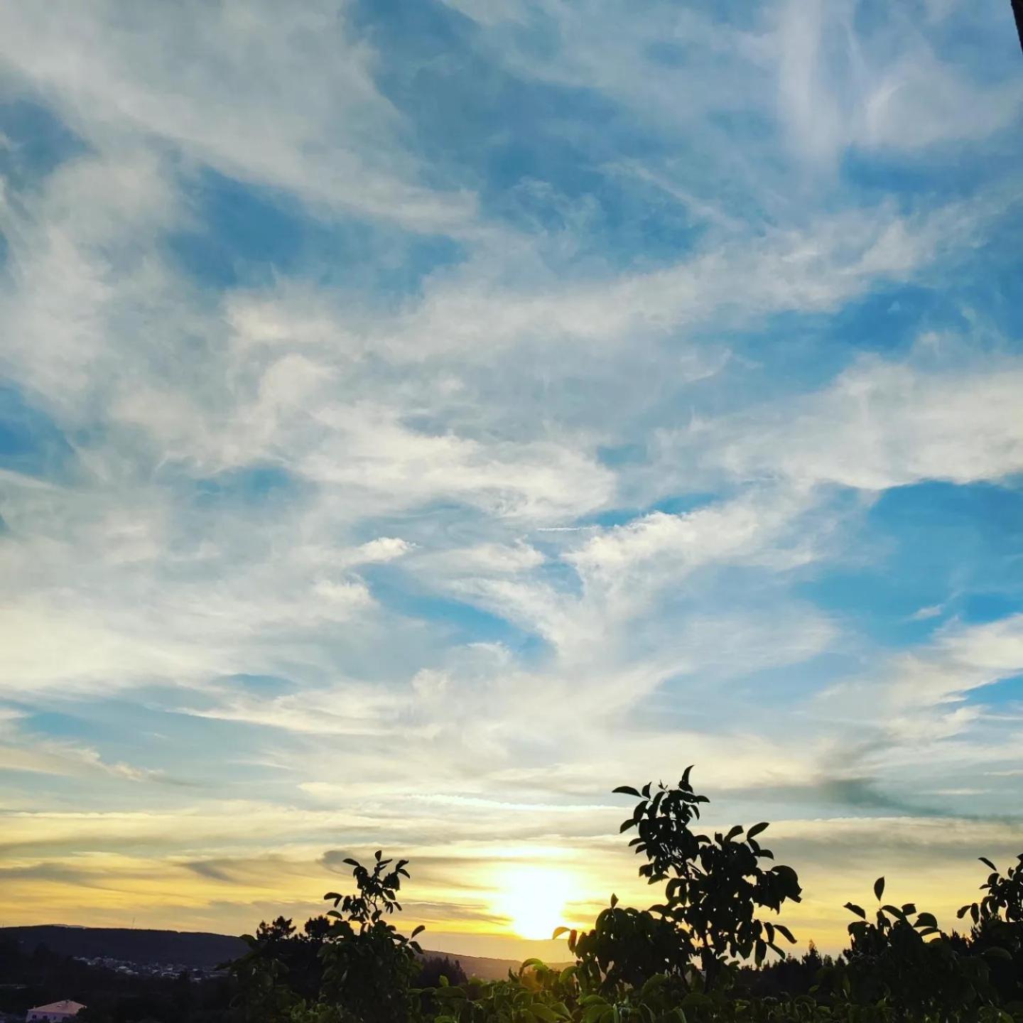R3 - Guesthouse Travessa Da Arieira Aguda (Leiria) Eksteriør bilde